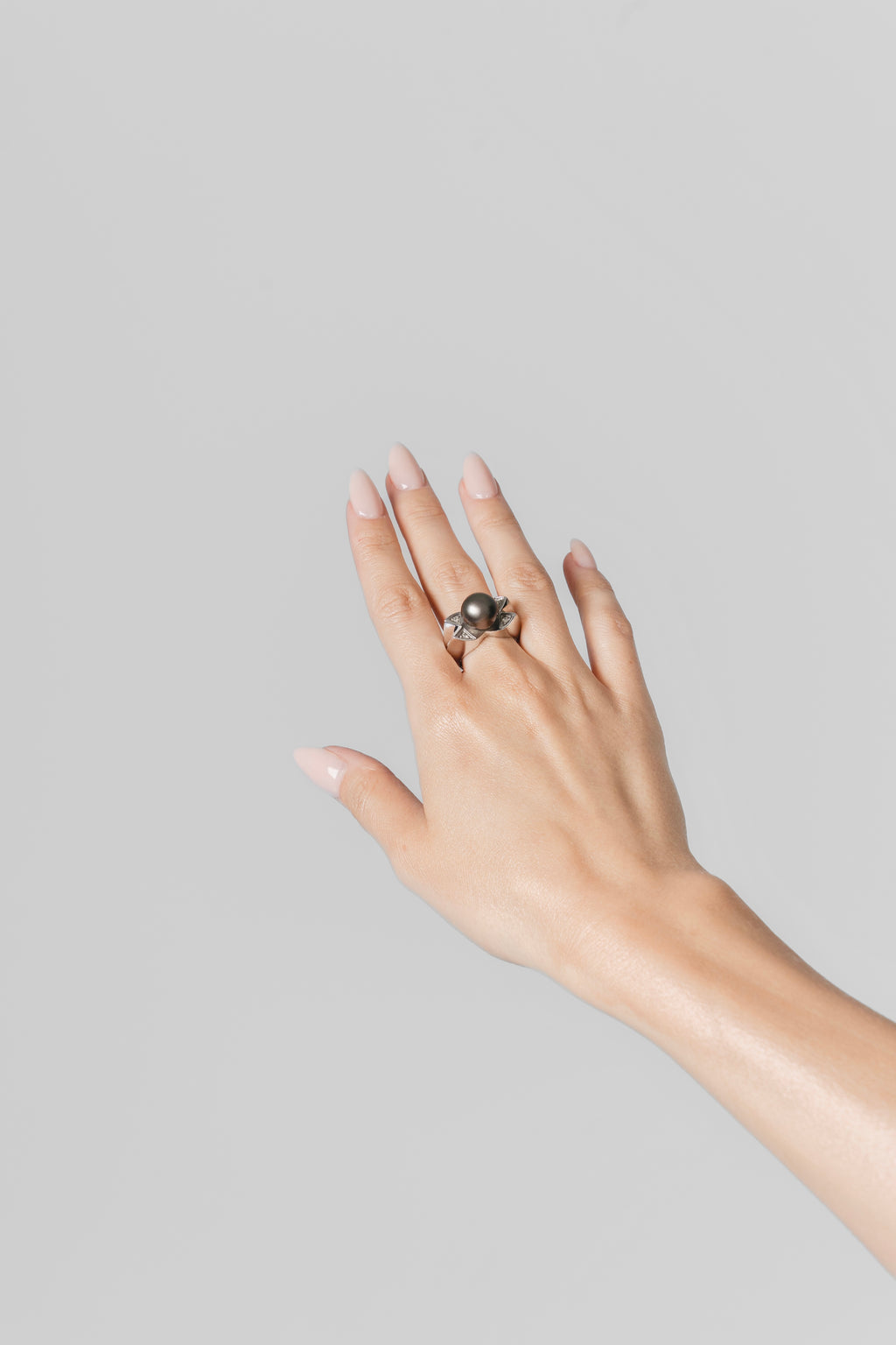 Midnight Ring